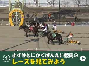 ①まずはとにかくばんえい競馬のレースを見てみよう