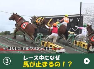 ③レース中になぜ馬が止まるの！？